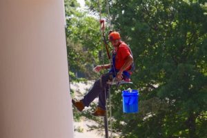 tree services protect your home